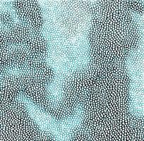 ǳɫߵƤ