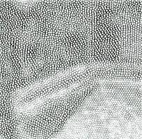 ǳɫߵƤ