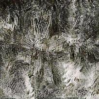 ˮī������Ȼ����ͼ��