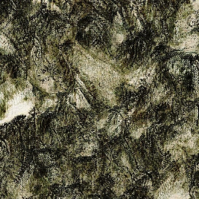 ˮī��ɫ����������Ⱦ