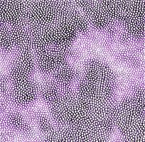 ��ɫ��������ͼƬ�ز�