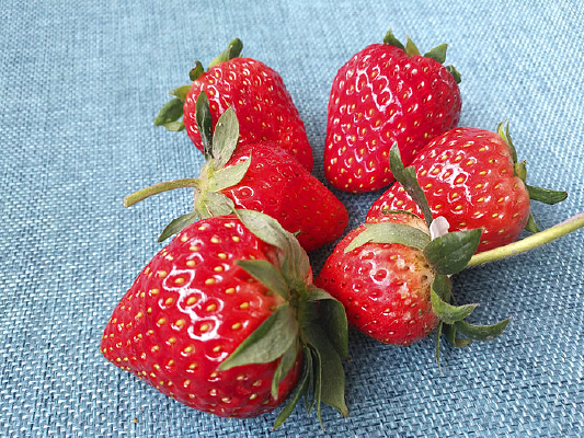 ��ݮ������