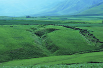 ��ԭ����