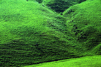 ��ԭ�ϵ���ɫɽ��