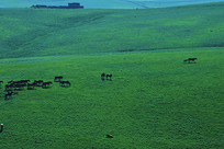 ɢ������