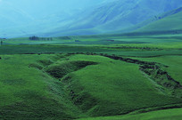 �½��ݵ���