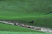 ��Ⱥ��ӵ���Ⱥ