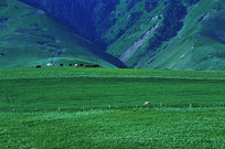 ɽ����Ĵ��ԭ