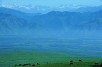 ��ɽ���µĴ��ԭ