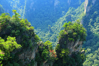 ����Դɰ�ҷ��ֵ������