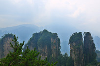 ����Դɰ�ҷ��ֵ��ʾ���