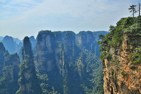 �żҽ���־���