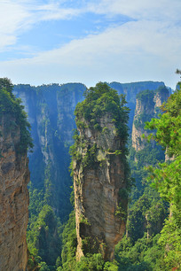 �żҽ����������