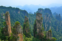 �żҽ�ɰ�ҷ��ֵ��ʾ���