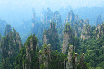 �żҽ�ɰ�ҷ����澰