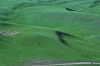 ��ԭɽ������̬