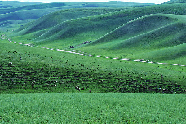 ��ԭɽ�¼���