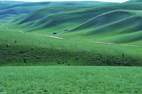 ��ԭɽ�¼���