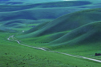 ��ԭ��С��