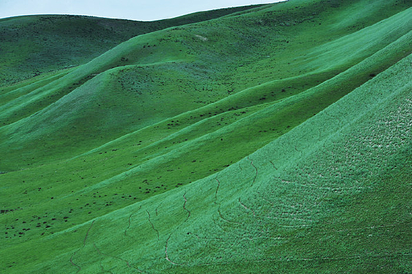 ��ɽ����