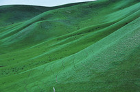 ��ɽ����