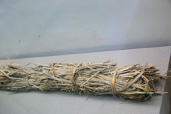 ���ĺ�������ȼ��