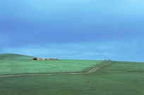 �����µ���ɫ��ԭ