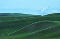 ��ԭ�������