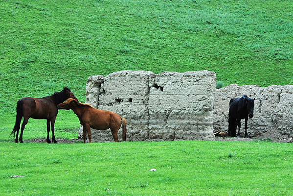 ����һ��