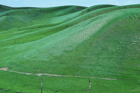 ����б��