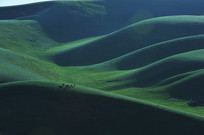 ����ɽ��