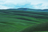 ɽ������