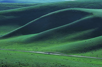 ��Ȼ�ݳ���״