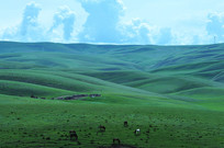 ��ɽ����