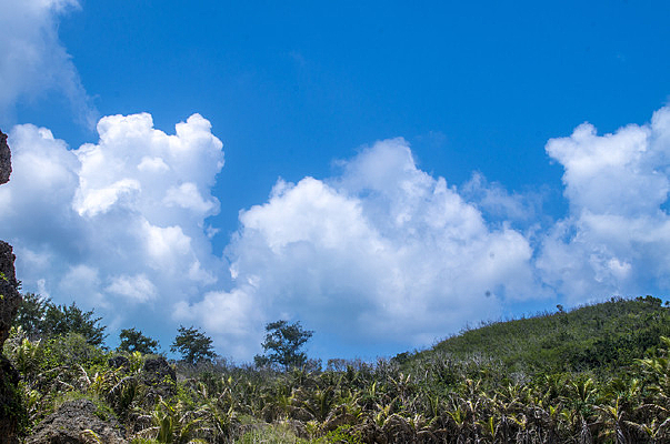 ���������ɽ