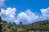 ���������ɽ