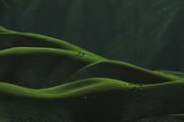 �����ԭ����