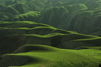 �����ԭɽ��