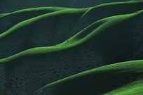 �����ԭб��