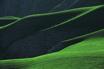 ɽ������