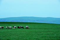 ��ɽ������Ⱥ