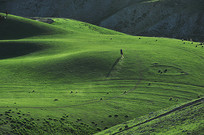  ����ɽ����Ӱ