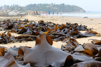 ƽ���ĺ���