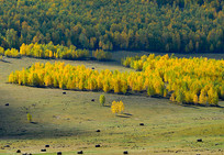 ��ԭ��ɫ���