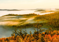 ����ɭ��