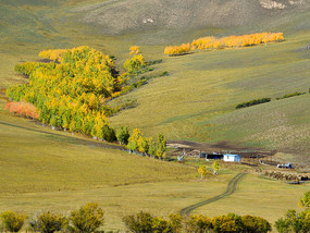 �������