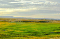 ʪ����ɫ���