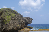 �����ڹ���״ʯͷ