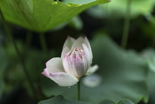 �Ϻ�����԰�ɻ���չ