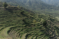 ��Դ����������